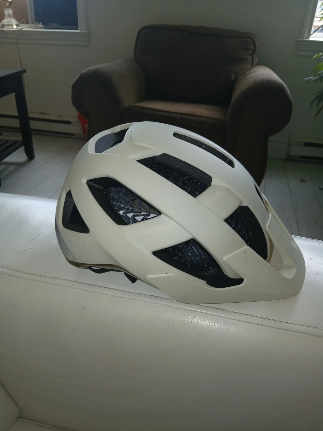 Trek Quantum WaveCel Helmet