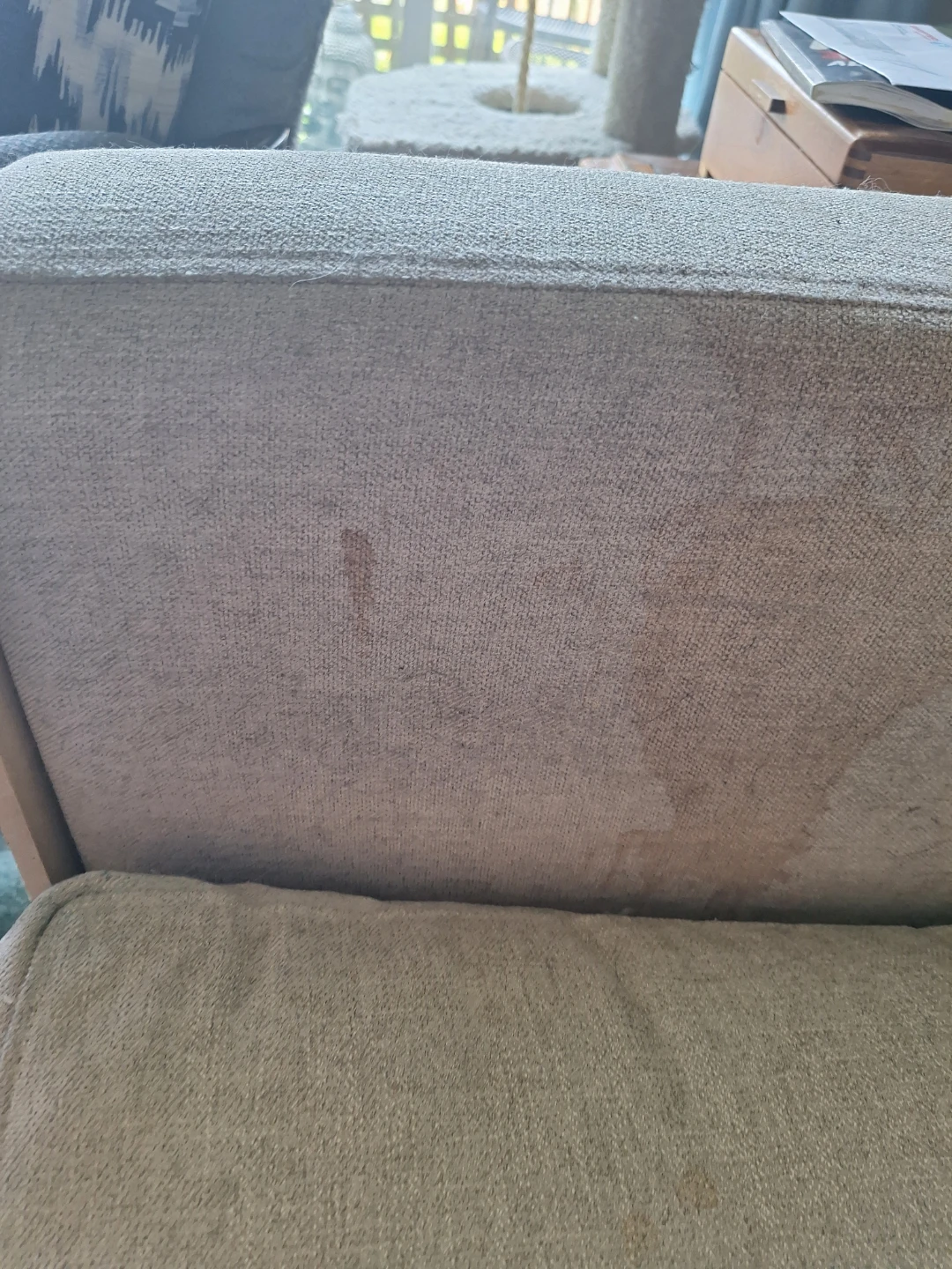 Free Grey Down Filled Sofa - photo 4