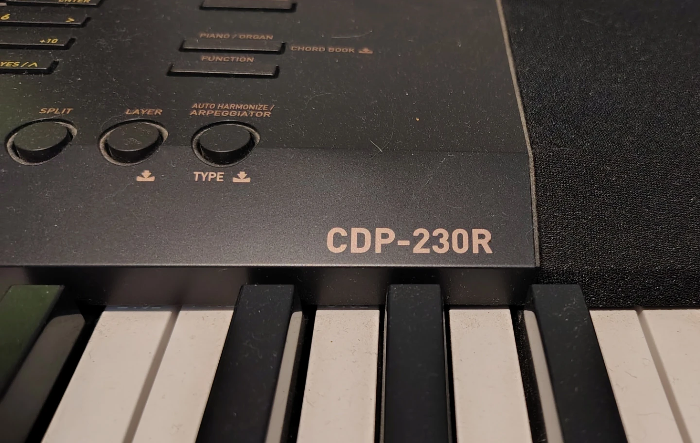 Casio CDP-230R Digital Piano with Stand and Pedal - photo 2