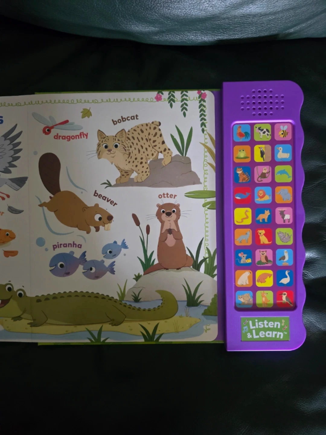 (2) Animals and Vehicles Books - photo 5