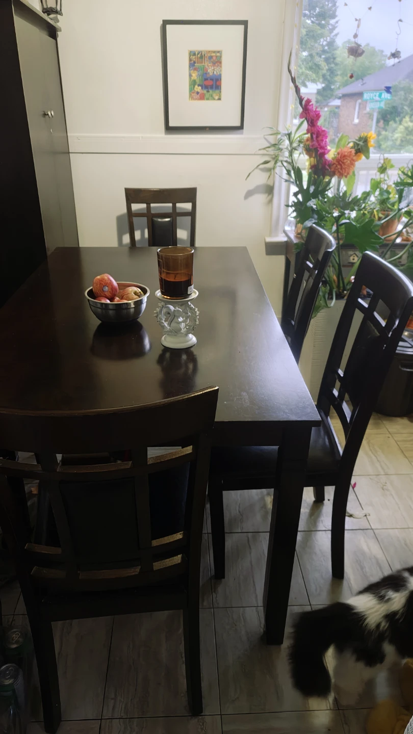 Dining Table and Chairs Set