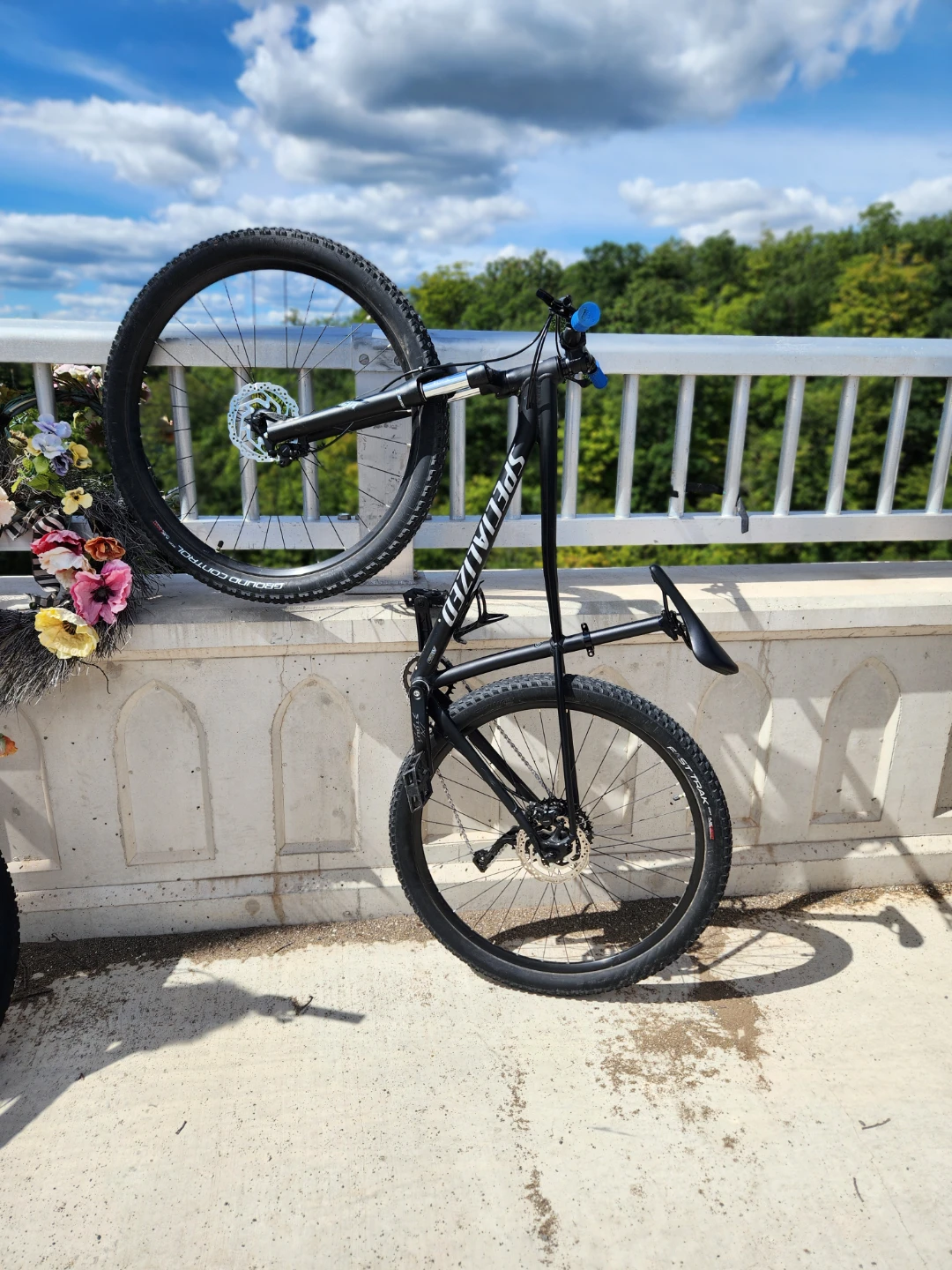Specialized MTB 29 _  X small - photo 3