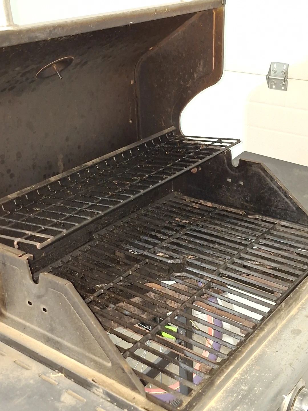 Master Forge Gas Grill - photo 5