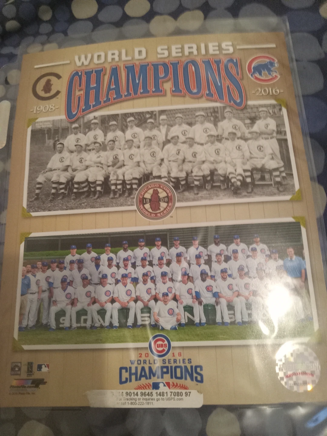 Chicago Cubs 2016 World Series Champions Commemorative Poster