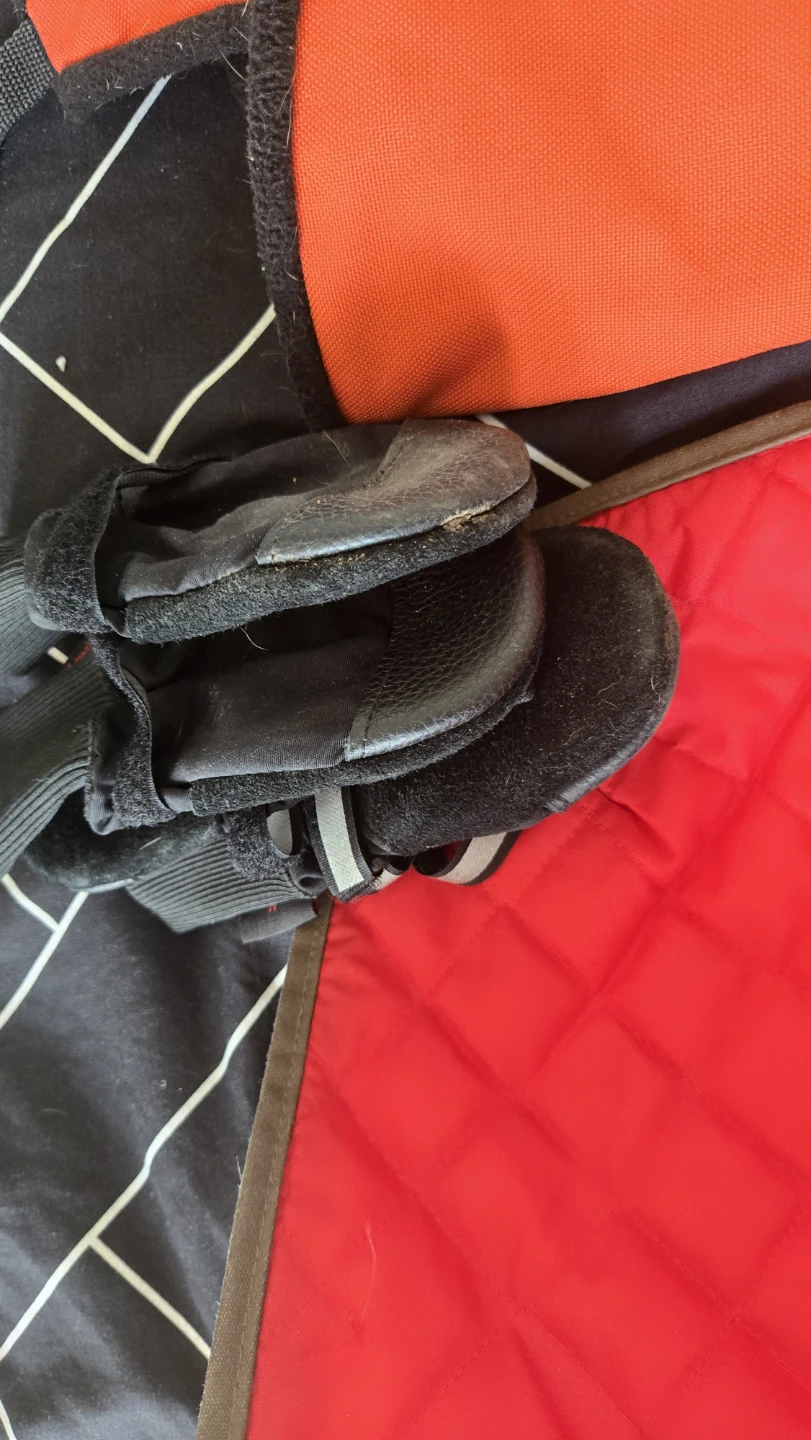 Wagwear and Carnival Hill Dog Coats - photo 3