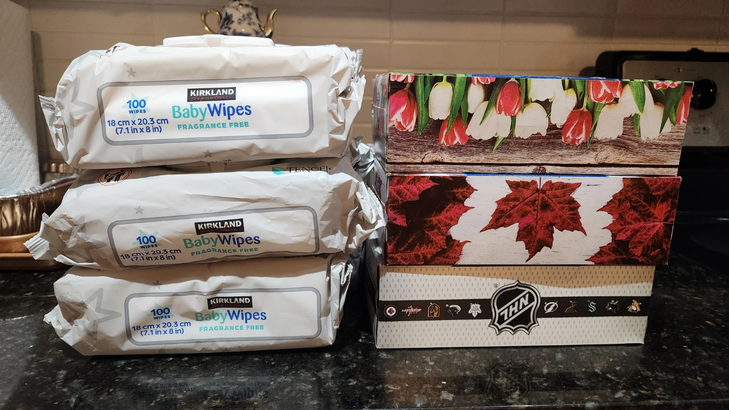 Kirkland Baby Wipes and Scotties Tissues (6 of each) - photo 2