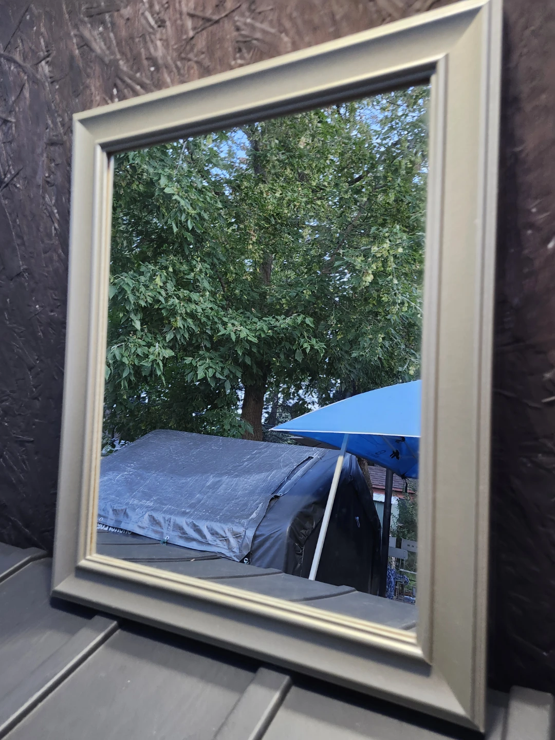 Wall Mirror with Frame 30 x 22 in