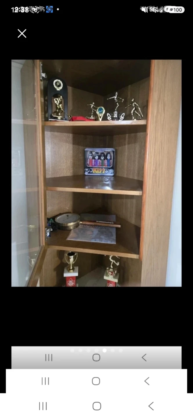 Custom Oak Corner Display Cabinet - photo 4