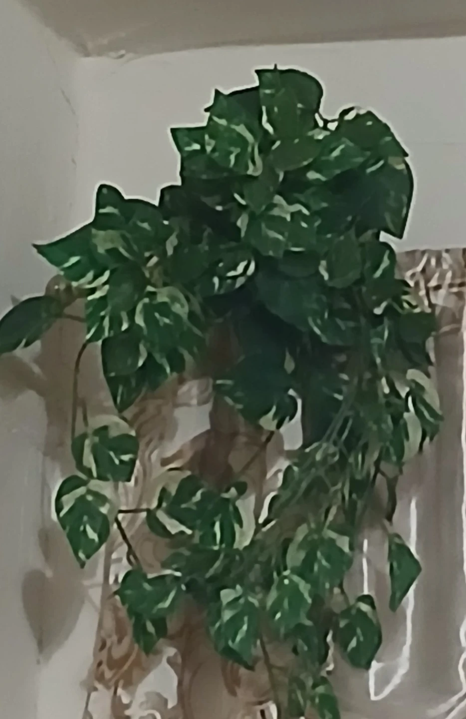 Artificial Pothos Hanging Plant🏈