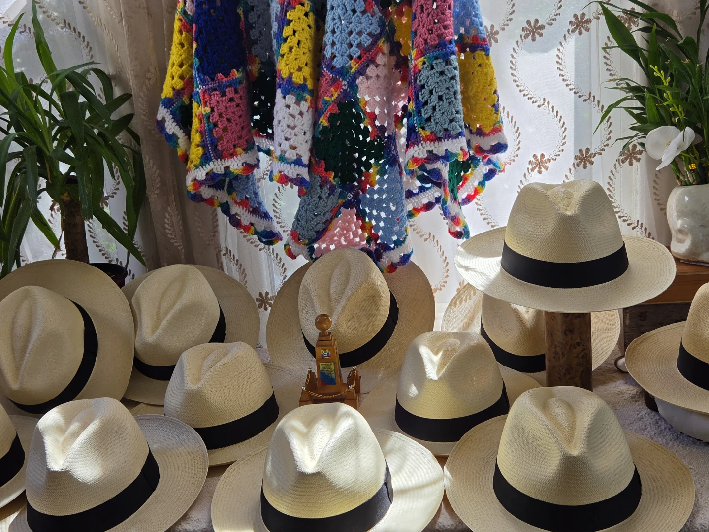 Panama Hats