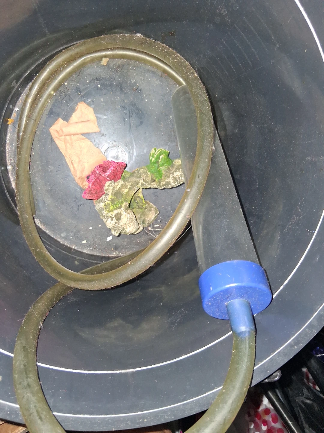 Bikes, Basket, A/C, Fishtank - photo 4