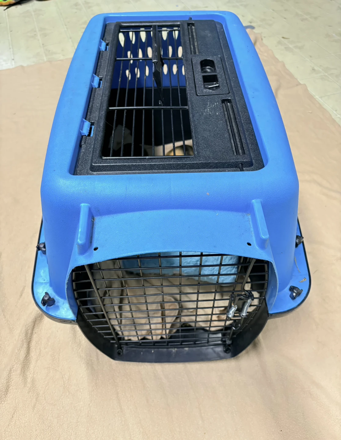 Guinea Pig Pet cage 'Blue/Black'🐭 - photo 5