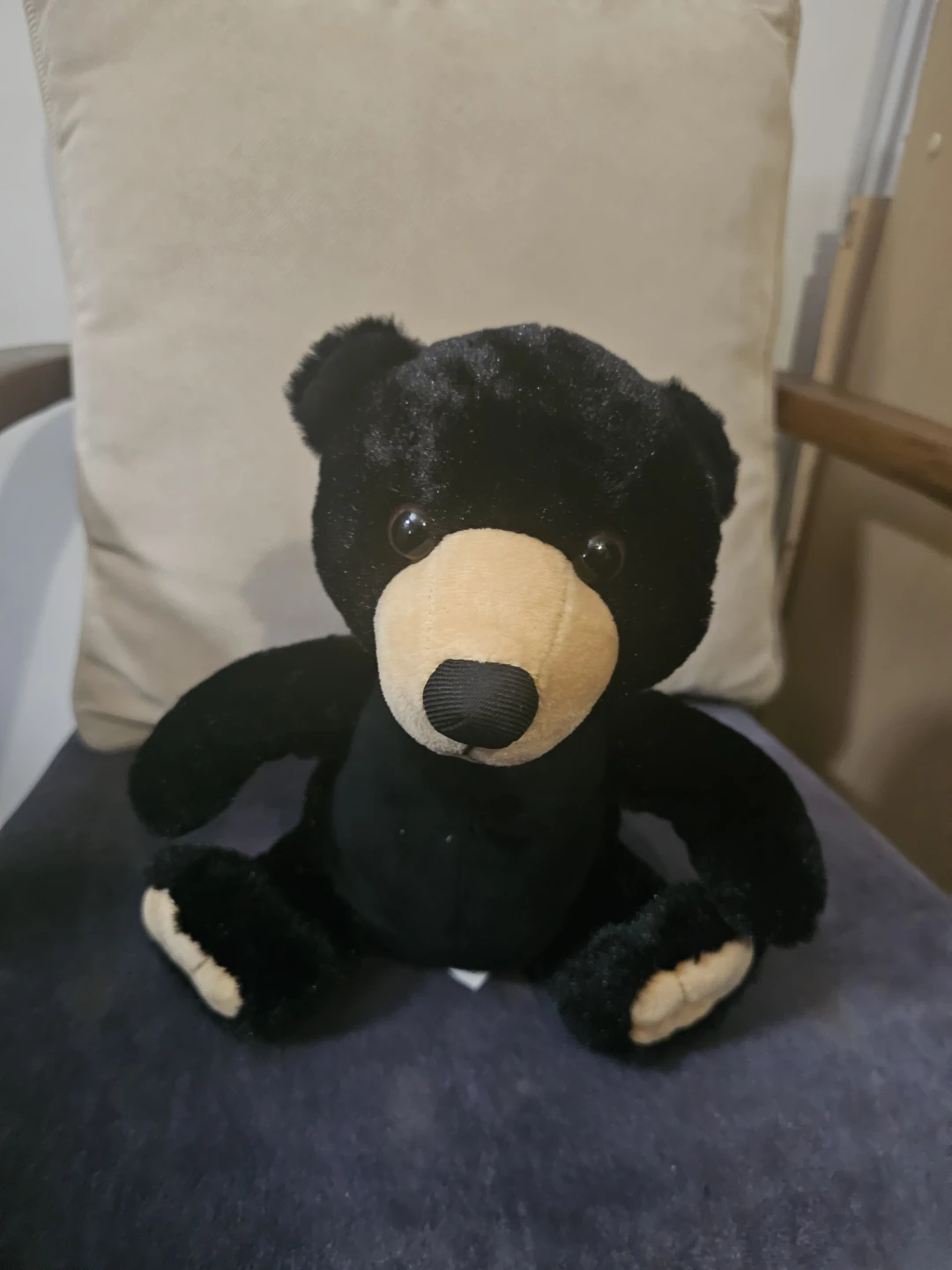 The Petting Zoo Black Bear Plush Toy