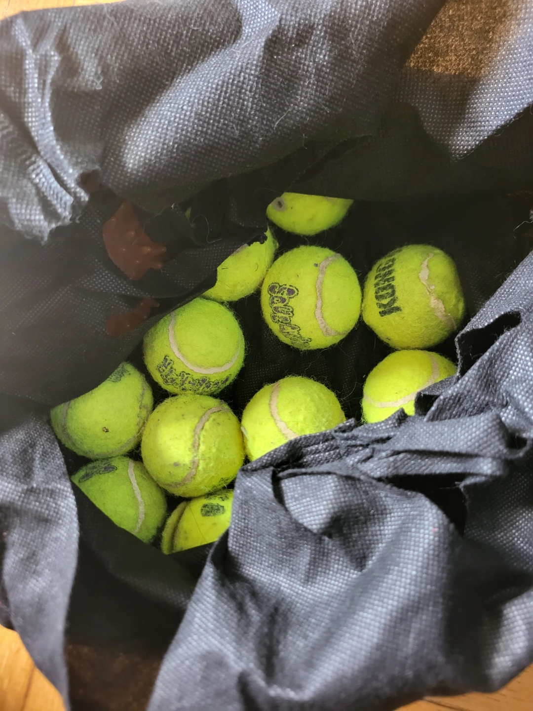 KONG Tennis Balls with Storage Bag