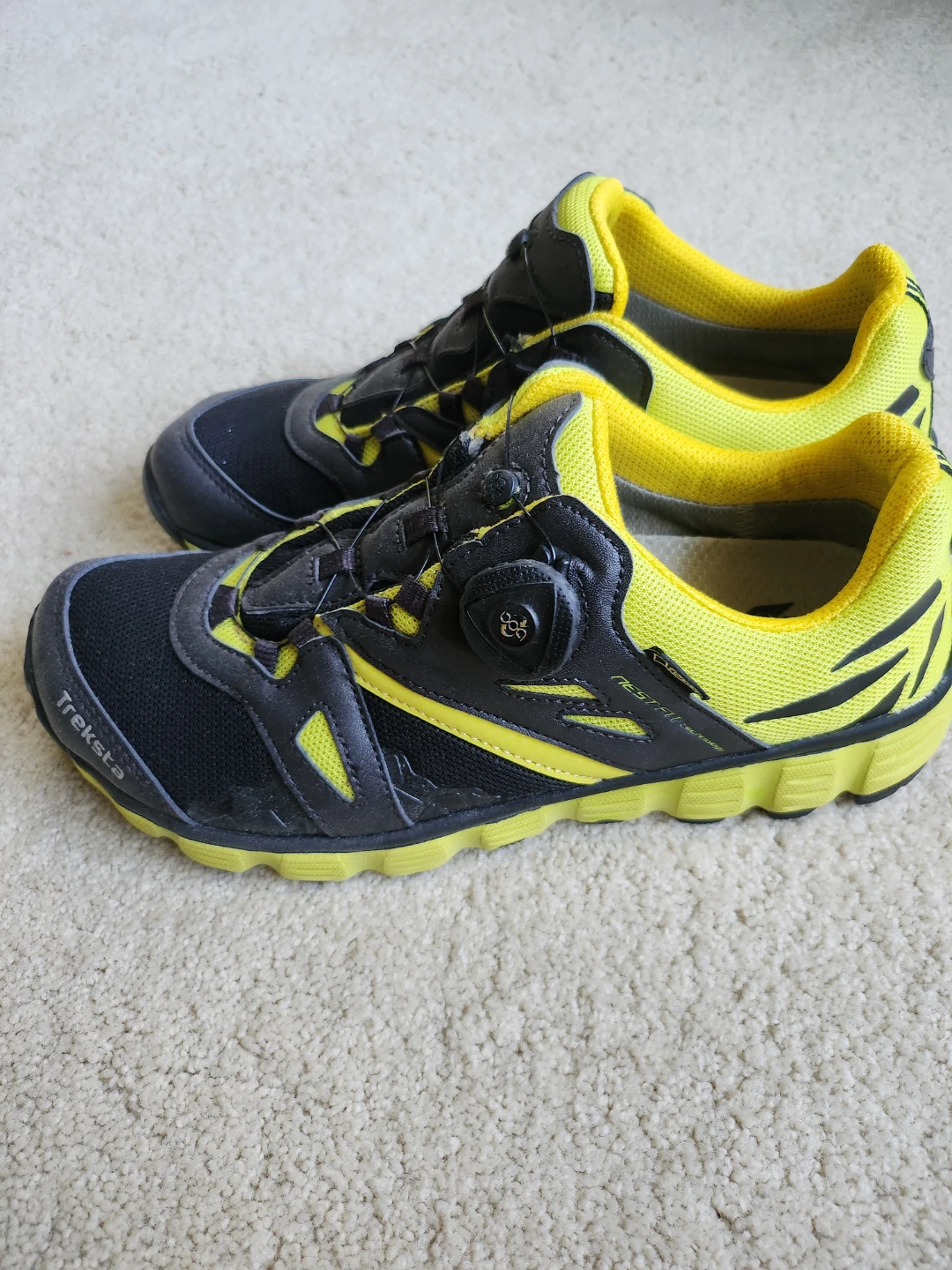 Treksta Kobra Walking GT 7 Gore-Tex Shoes