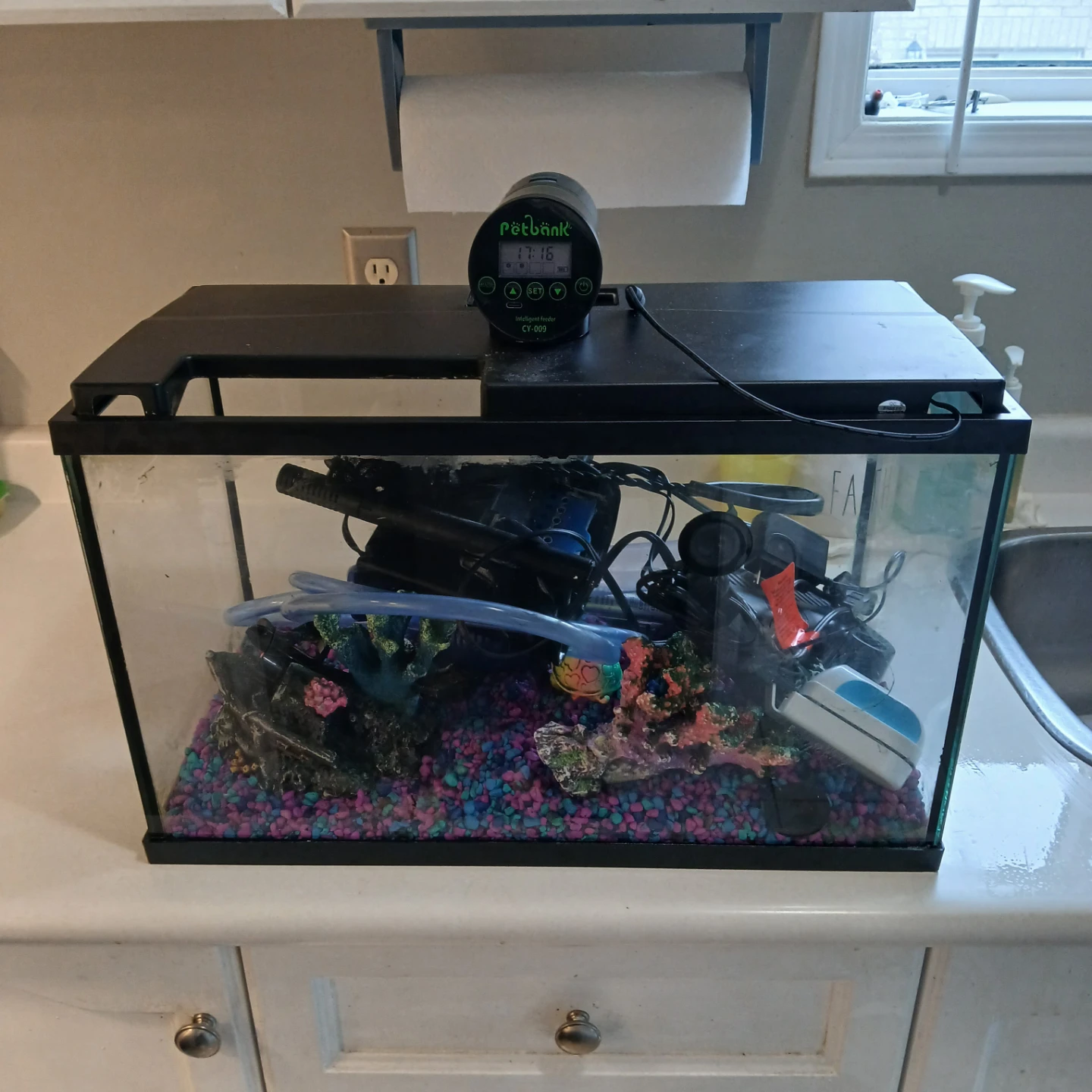 Fish Tank with Filter - photo 2
