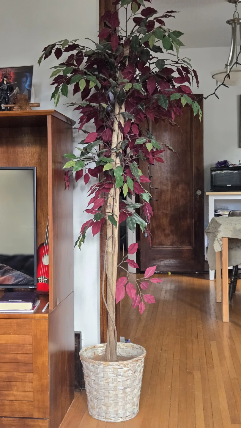 Artificial Ficus Tree with Woven Pot