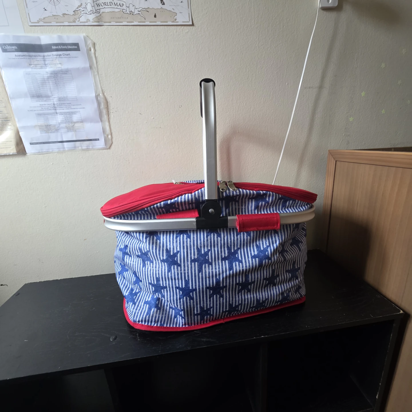 Insulated Picnic Cooler Basket