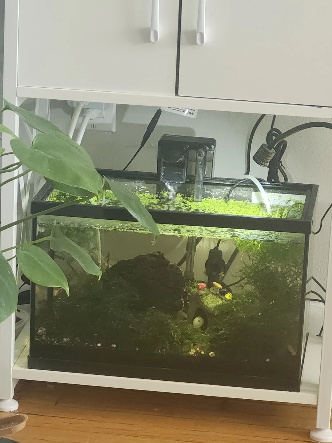5 Liters Glass Aquarium Fish Tank with Filter and Decor