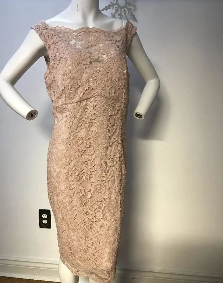 Le Chateau pink lace dress size 2