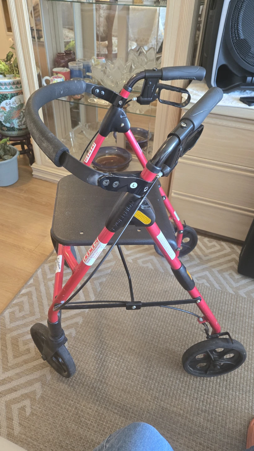HME Evolution Walker - photo 2