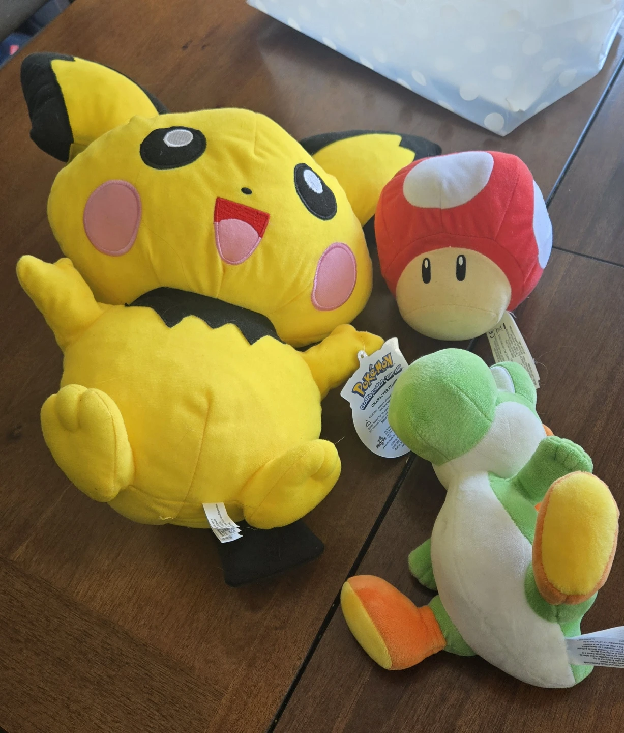 Pokémon DVD and Activity Book Bundle