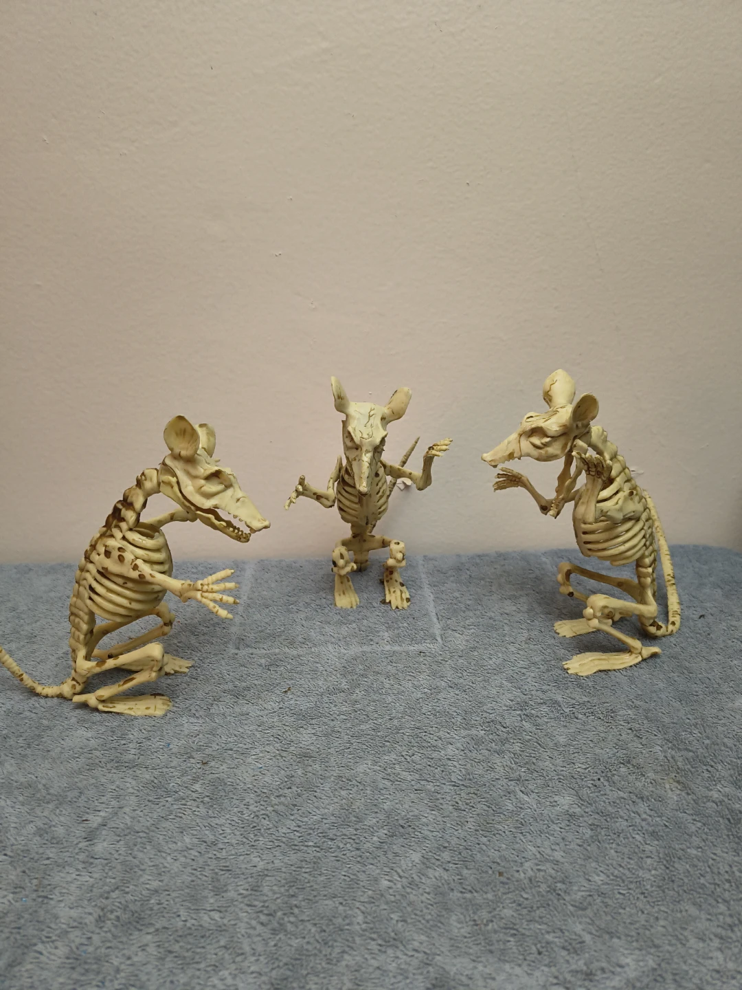 Halloween animals