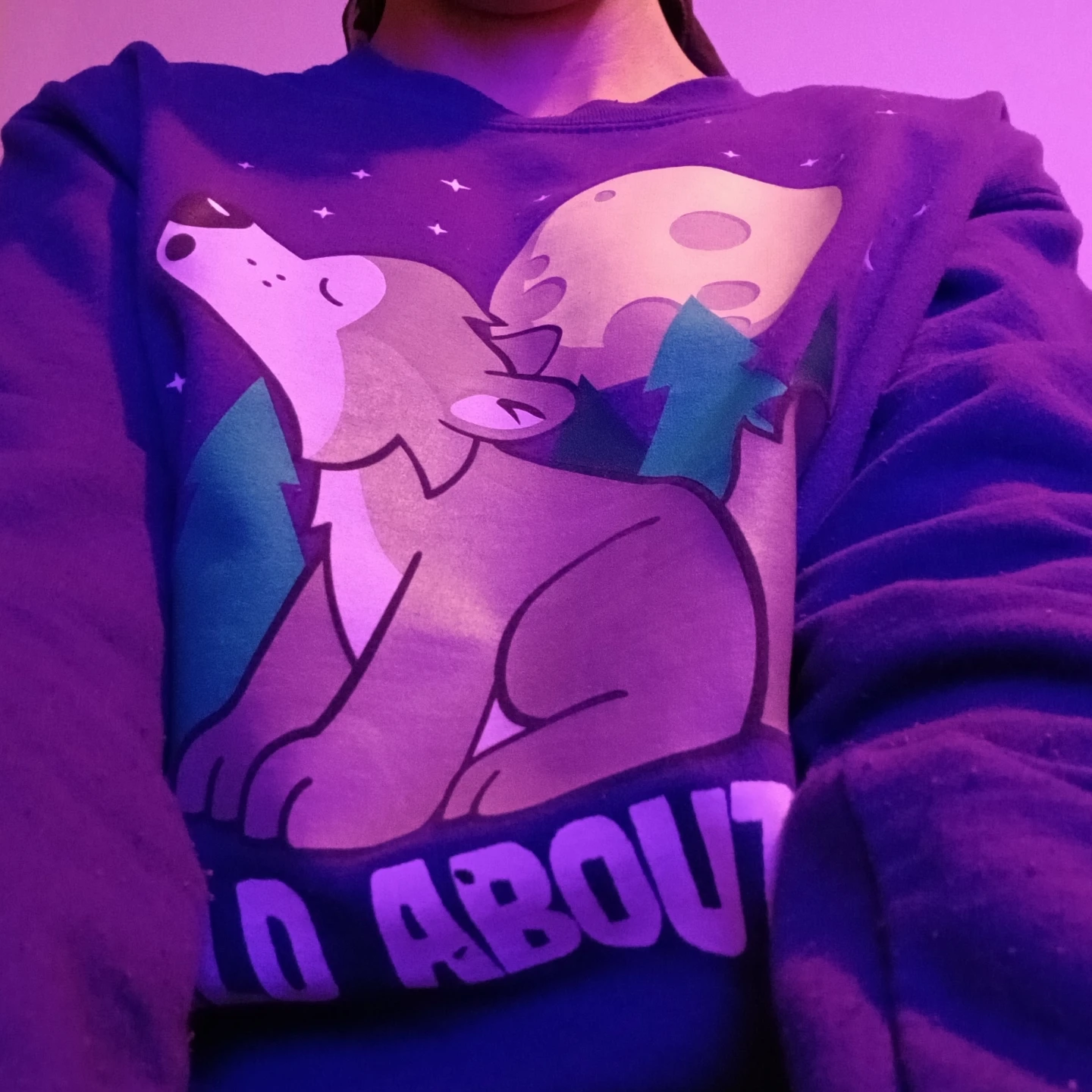 Wild About Him Graphic Sweatshirt - photo 2