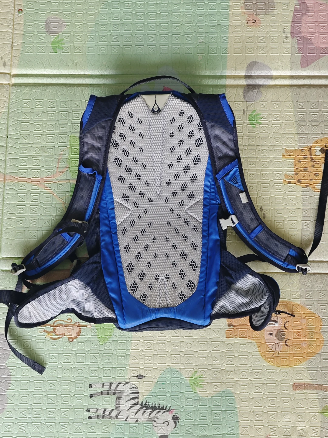 Gregory Miwok 12 Backpack - photo 2