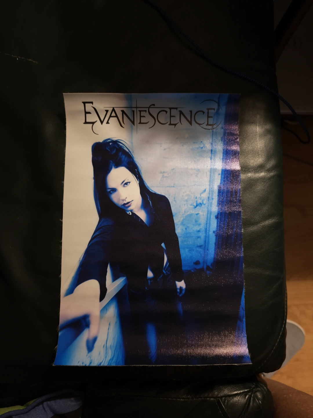 Evanescence Band Poster