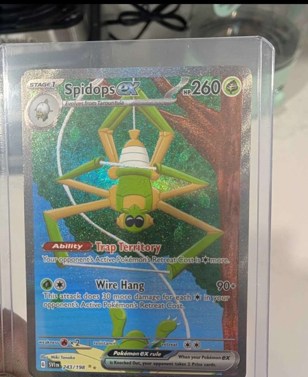 Pokemon Card - Spidops EX