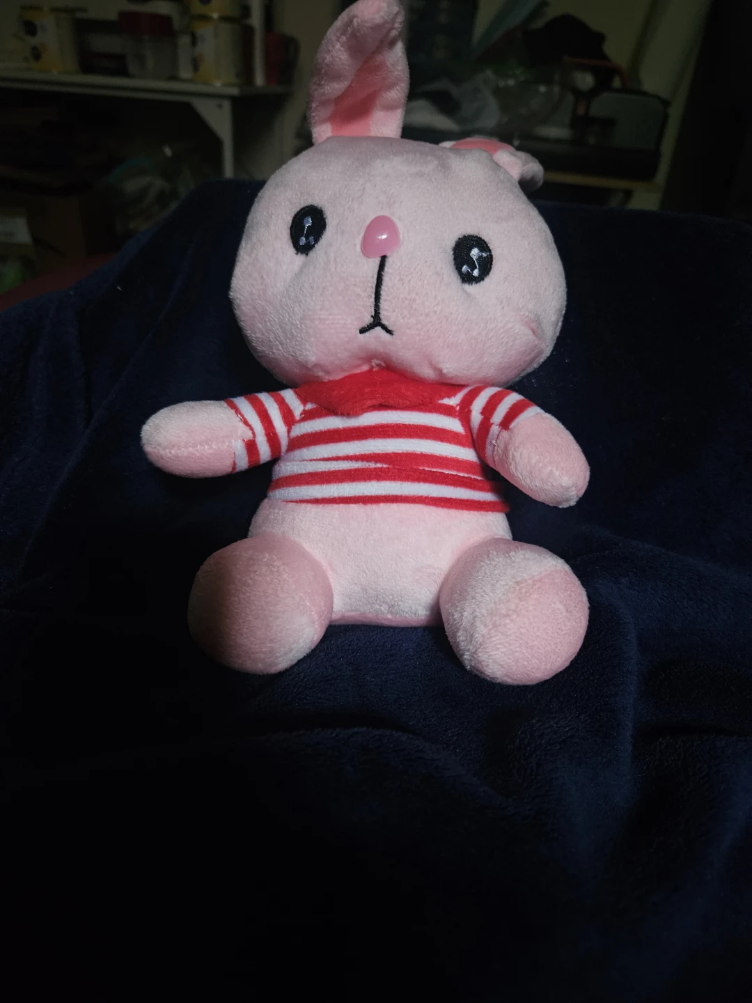 Pink Plush Bunny Stuffed Animal
