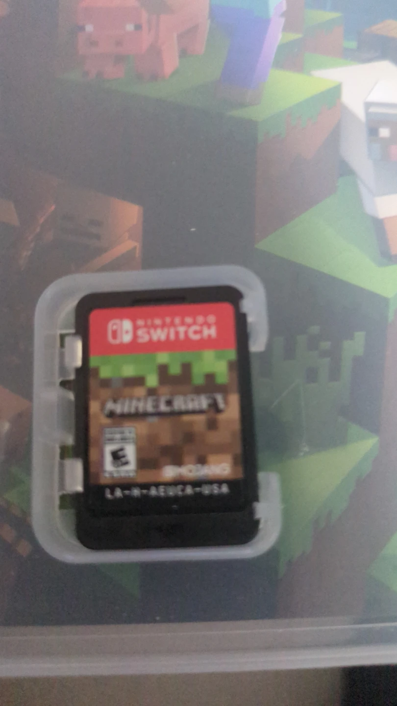 Minecraft for Nintendo Switch - photo 3