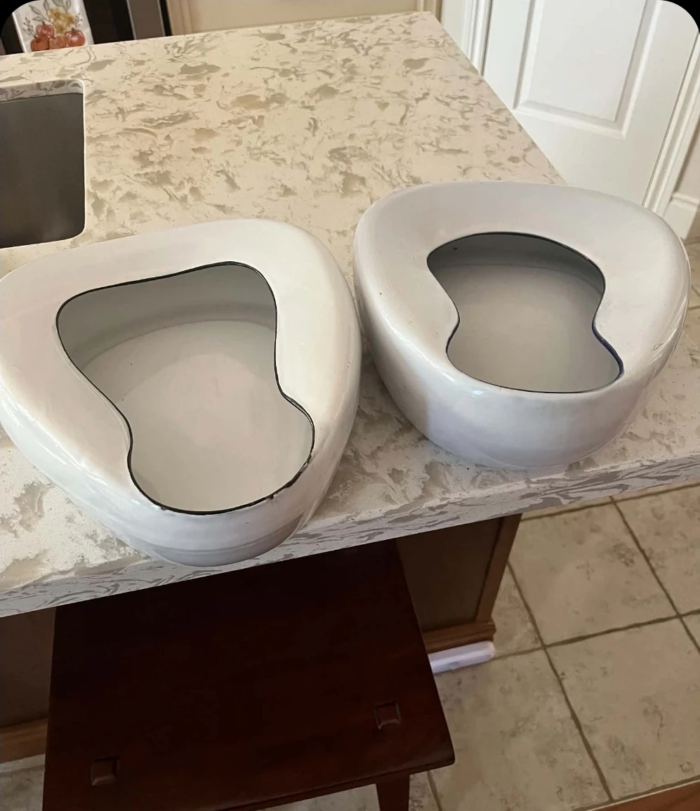 Vntg Cesco Columbian-Made Bedpans was used for plants.