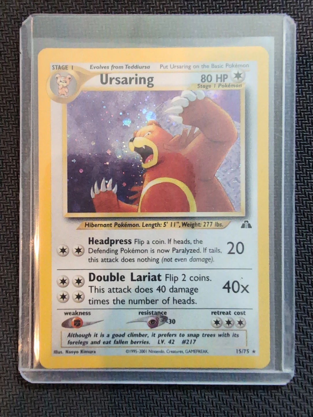Ursaring Neo Discovery Holo 15/75 - Pokemon - photo 3