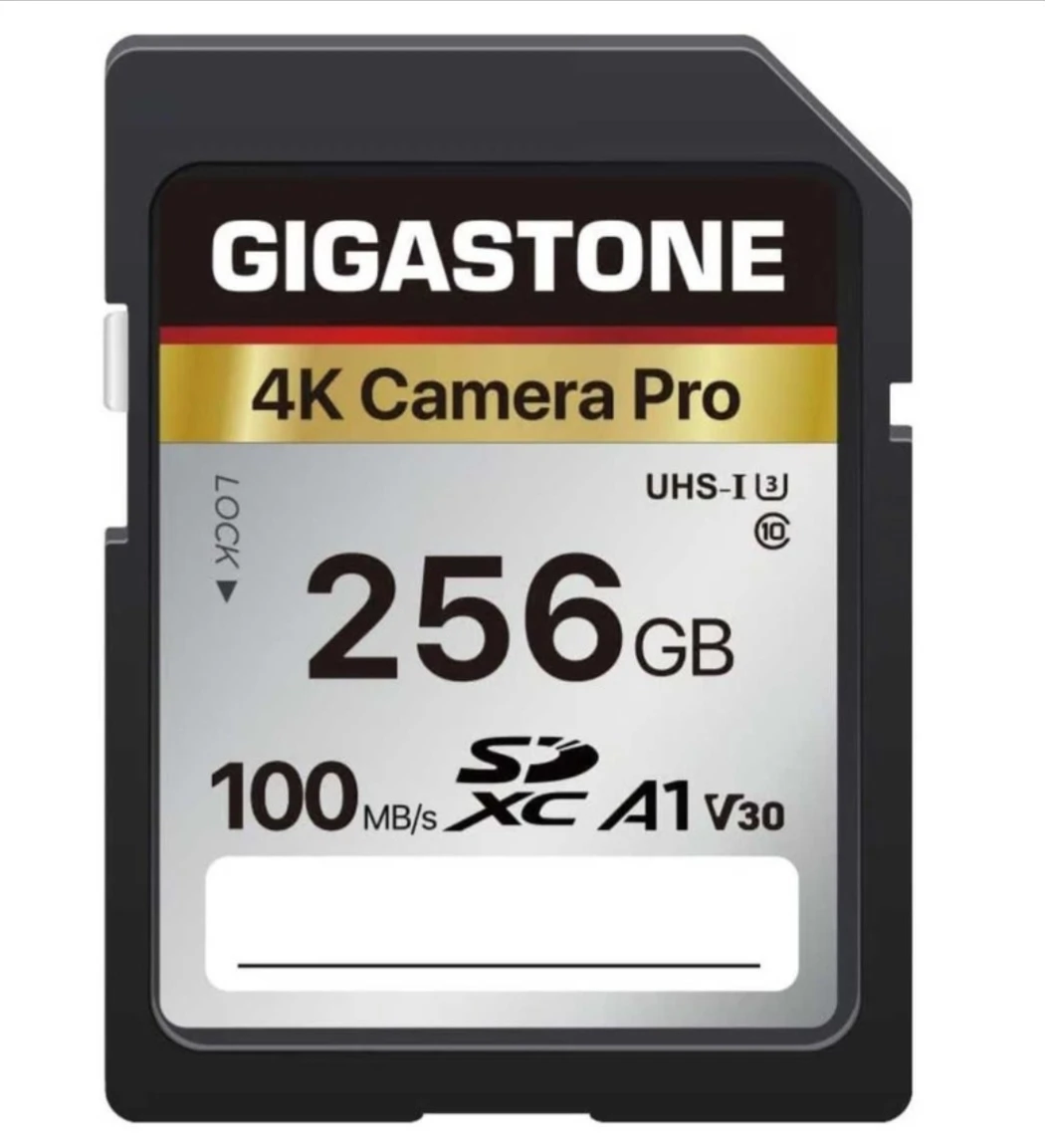 Gigastone 256GB 4K Camera Pro SD Card