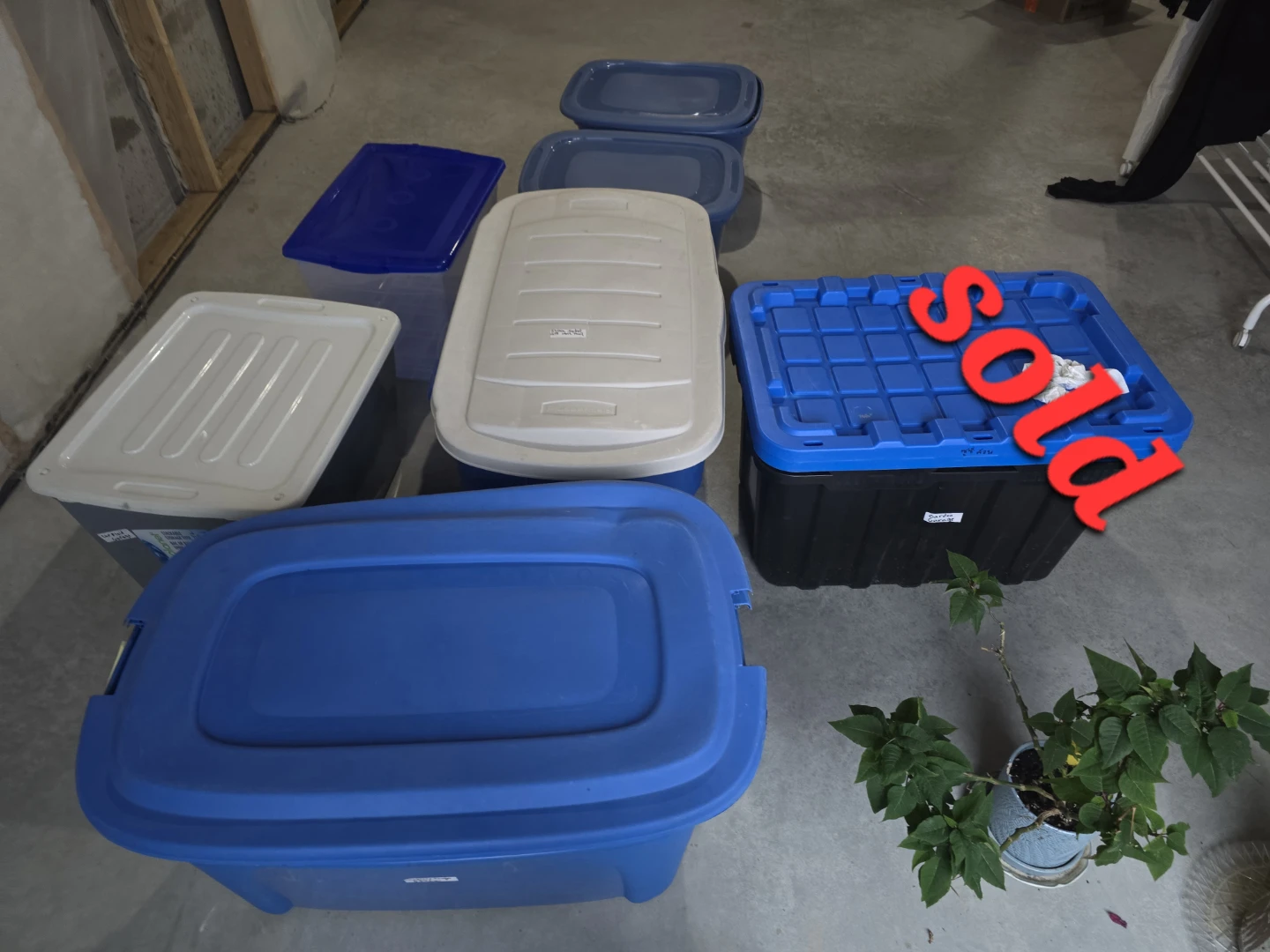 Assorted Storage Totes