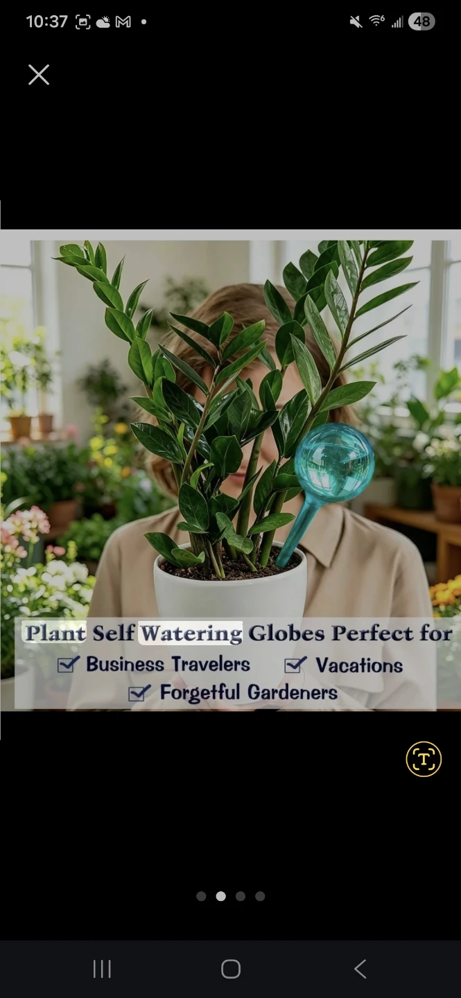 12 Pack Large Plant Self Watering Globes - photo 2