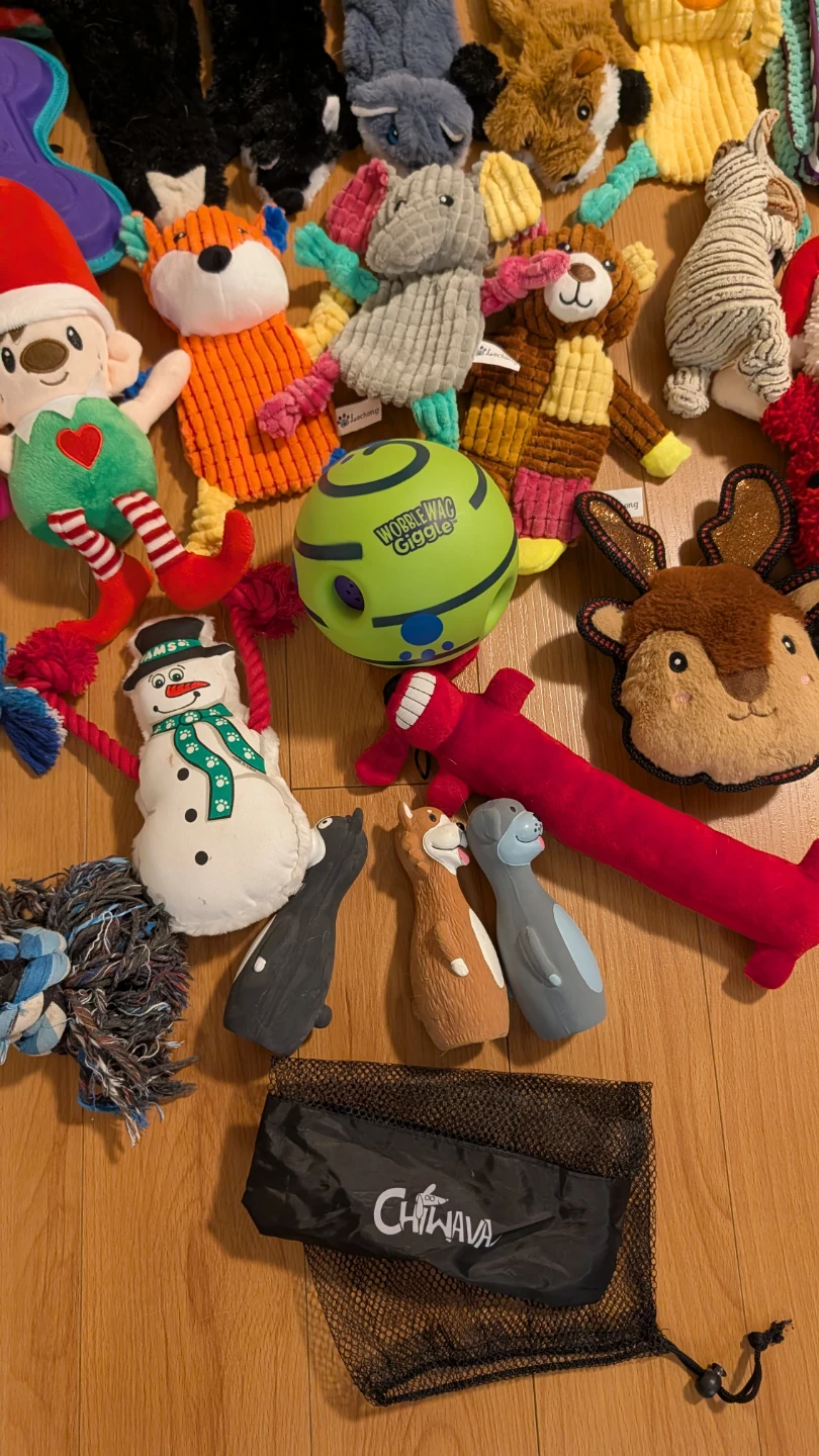Large Collection of Assorted Dog Toys (Almost All Brand New) - photo 5