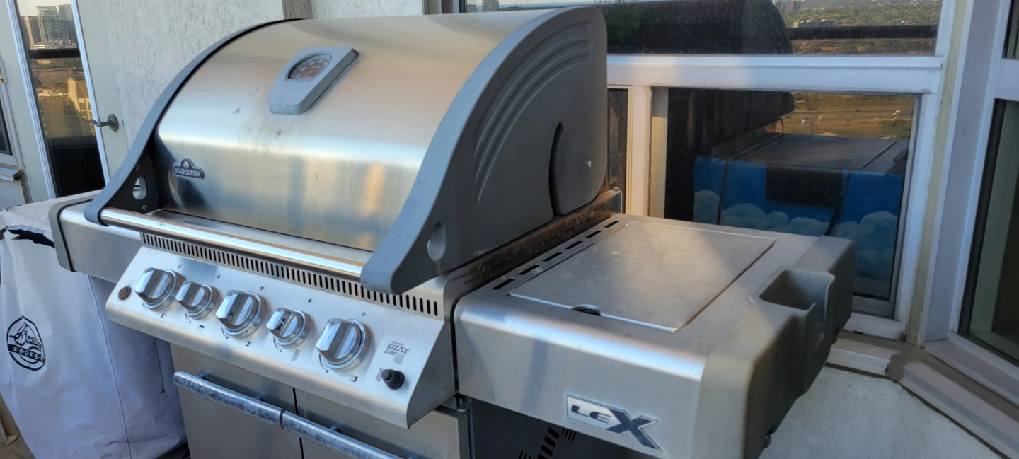 Napoleon Les Bbq