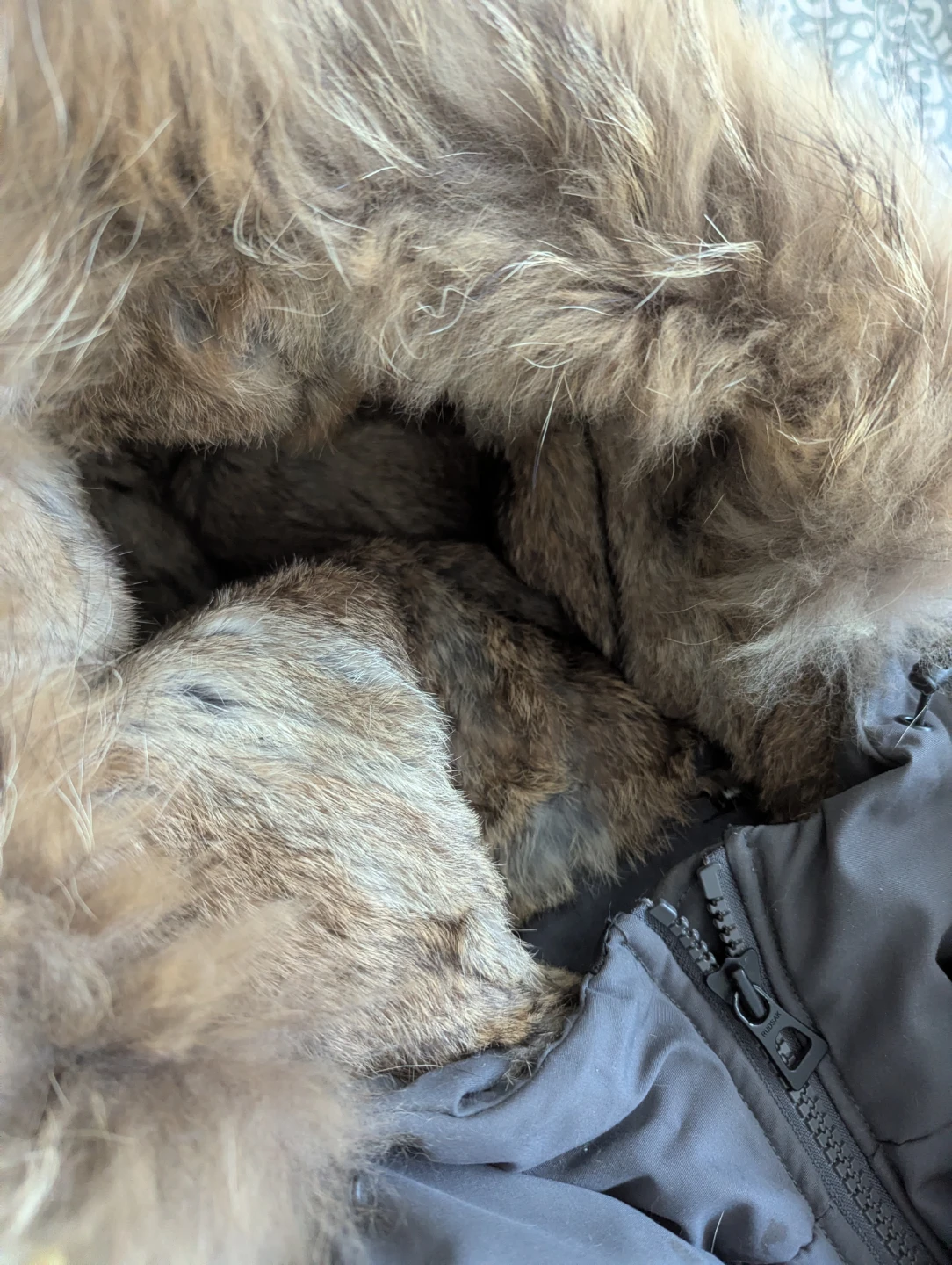 Rudsak Grey Parka with Fur Hood - photo 3