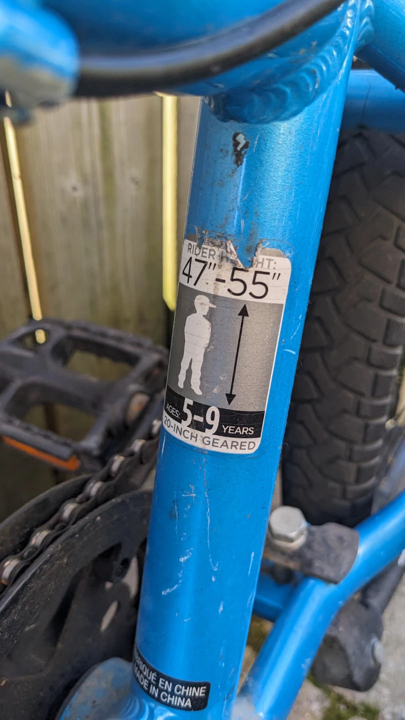 Raleigh Rowdy 20-inch Kids Bicycle - photo 3
