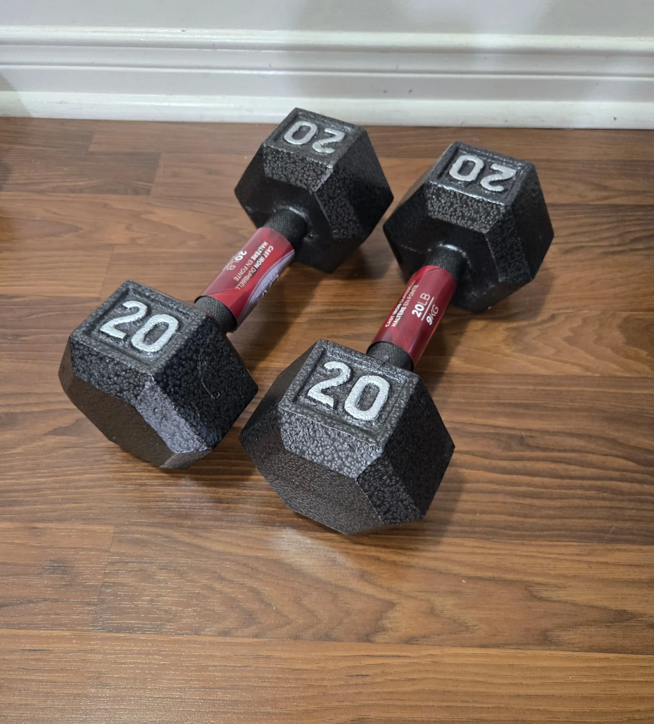 20lb Cast Iron Hex Dumbbell pair - New!