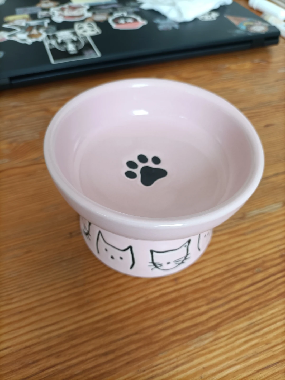 🏈Pink Ceramic Raised Cat Bowl