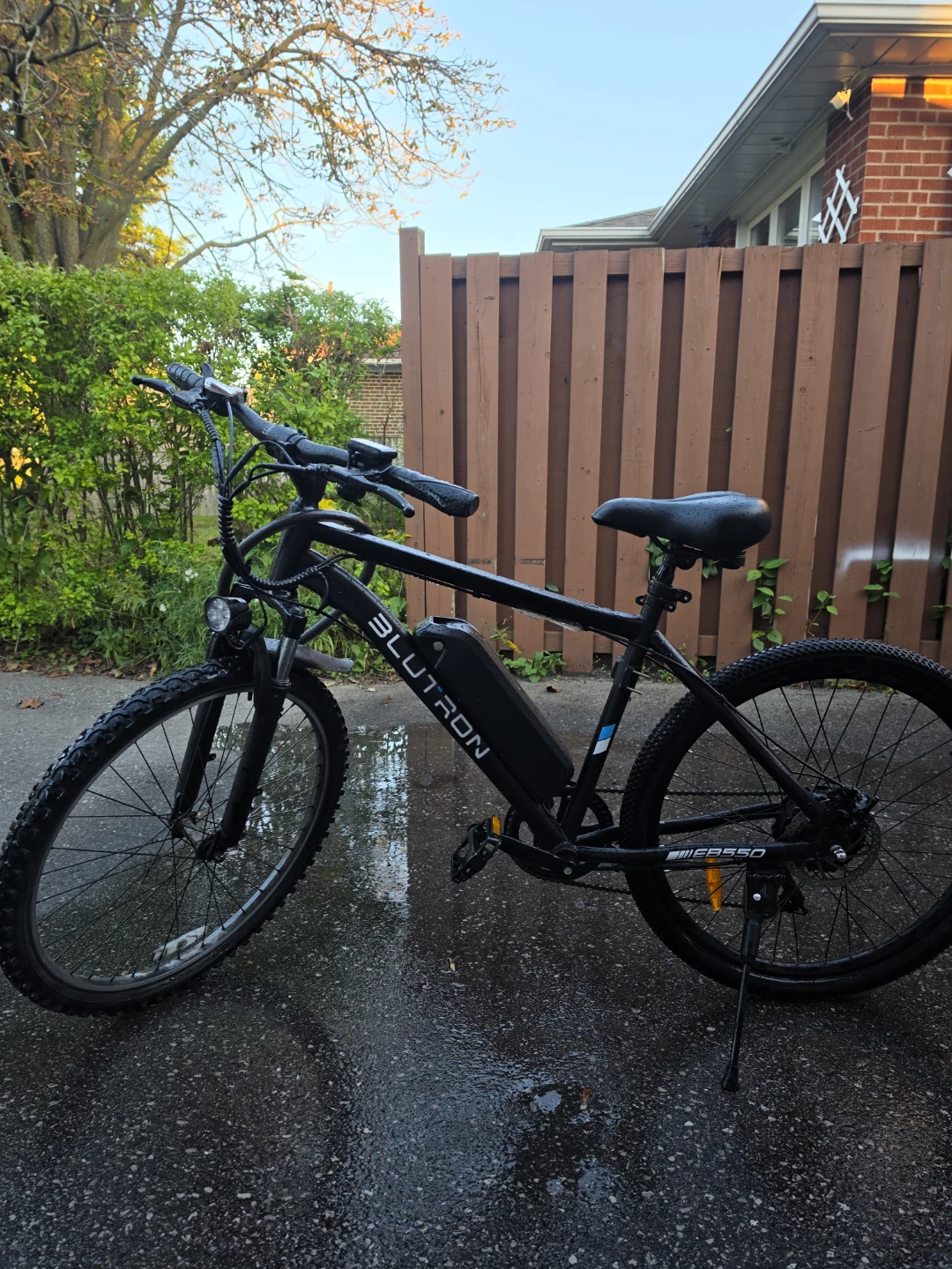 BLUTRON Electric Bicycle