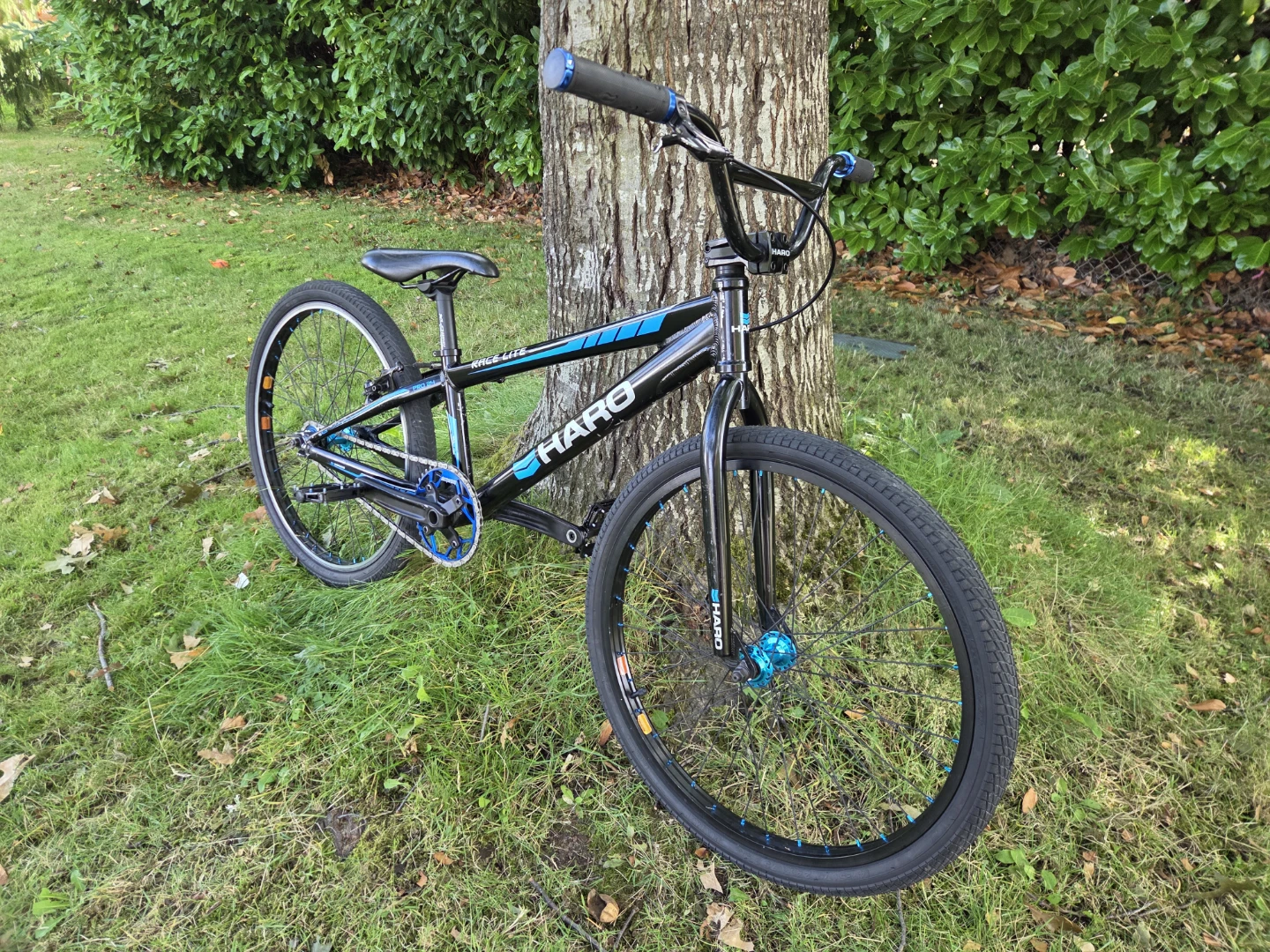 Haro Race Lite Pro 24 Cruiser BMX
