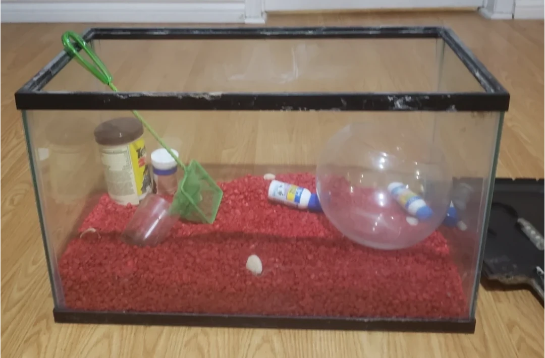 Glass Fish Aquarium with Filter and Accessories