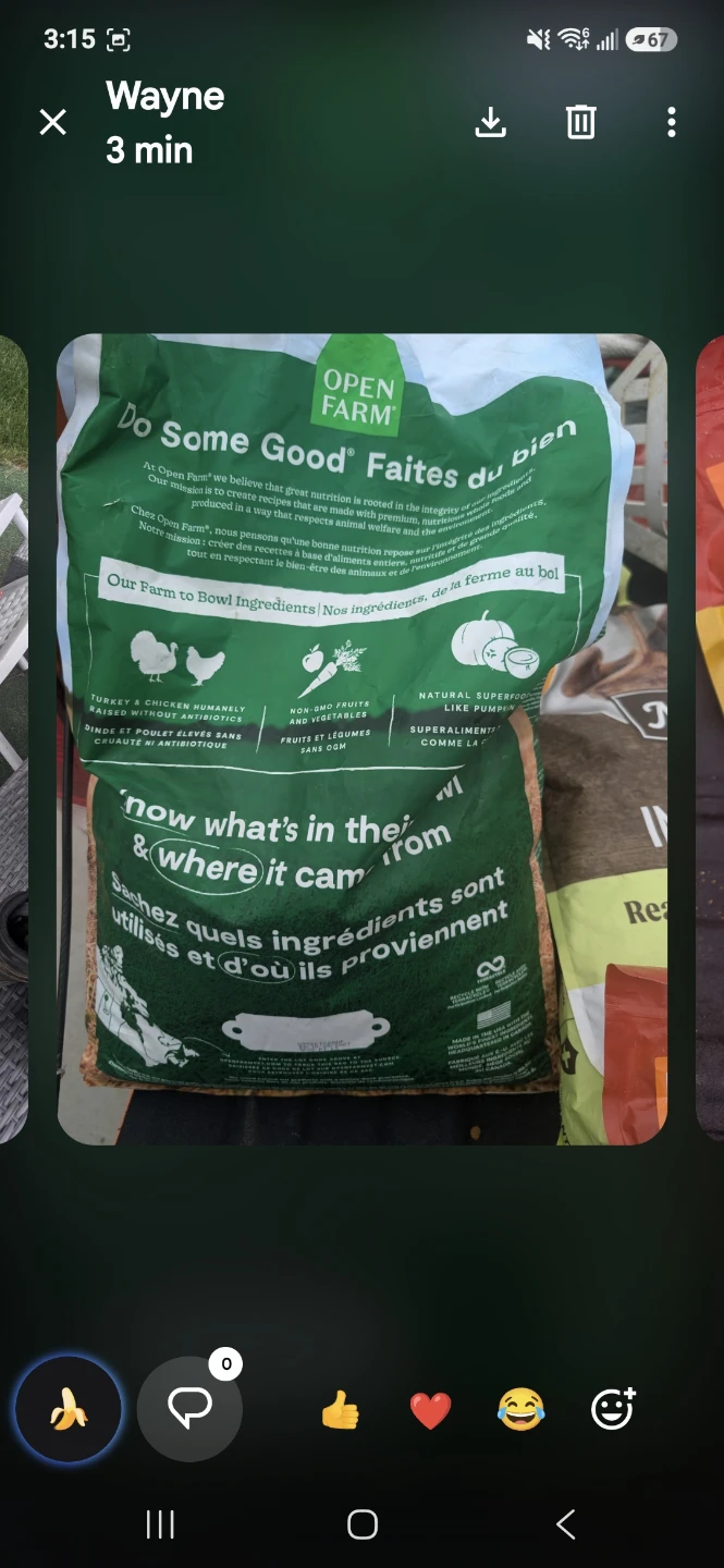 Wide variety of dog and cat food - photo 4