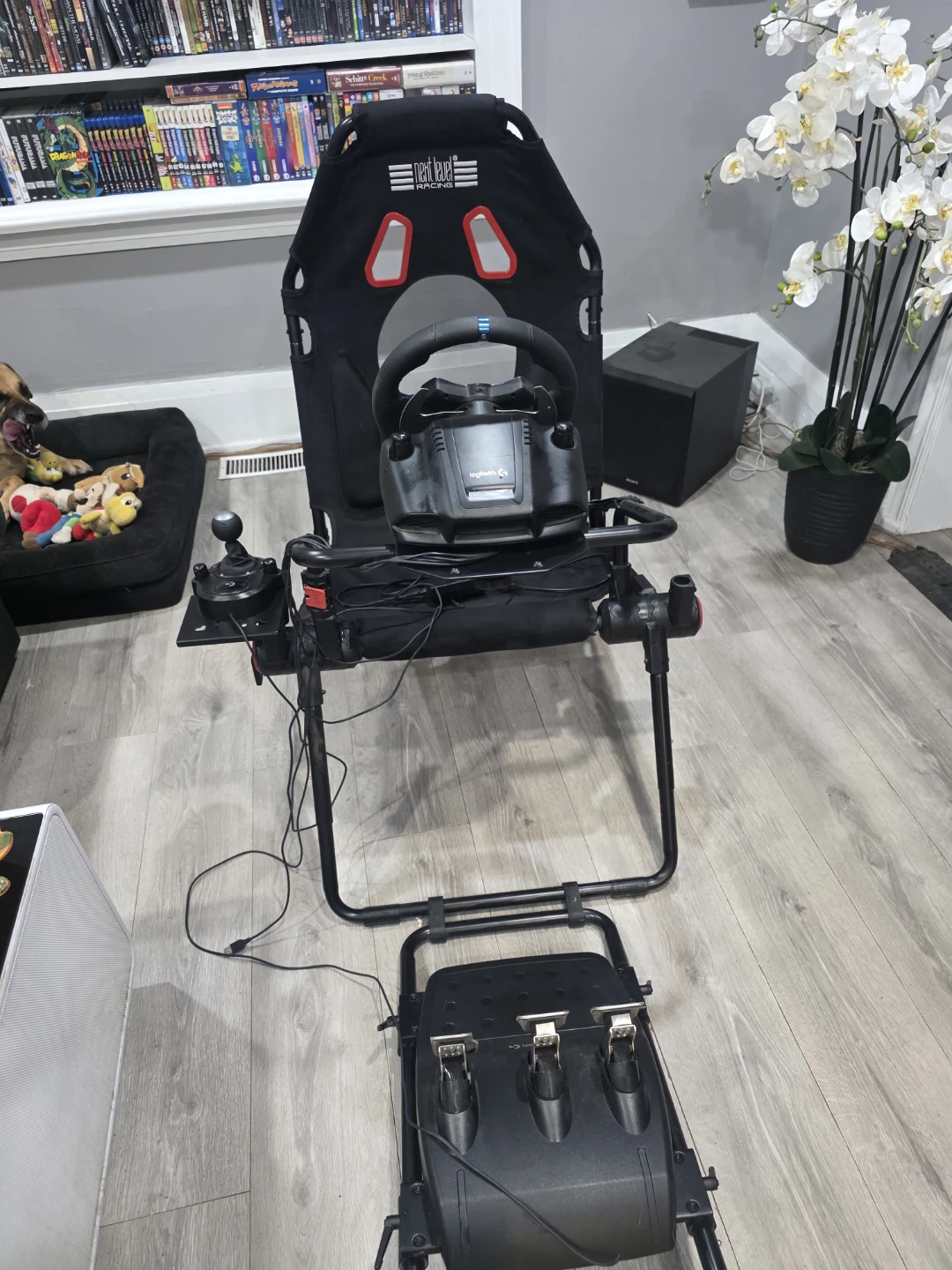 Next Level Racing Cockpit with Logitech G Racing Wheel