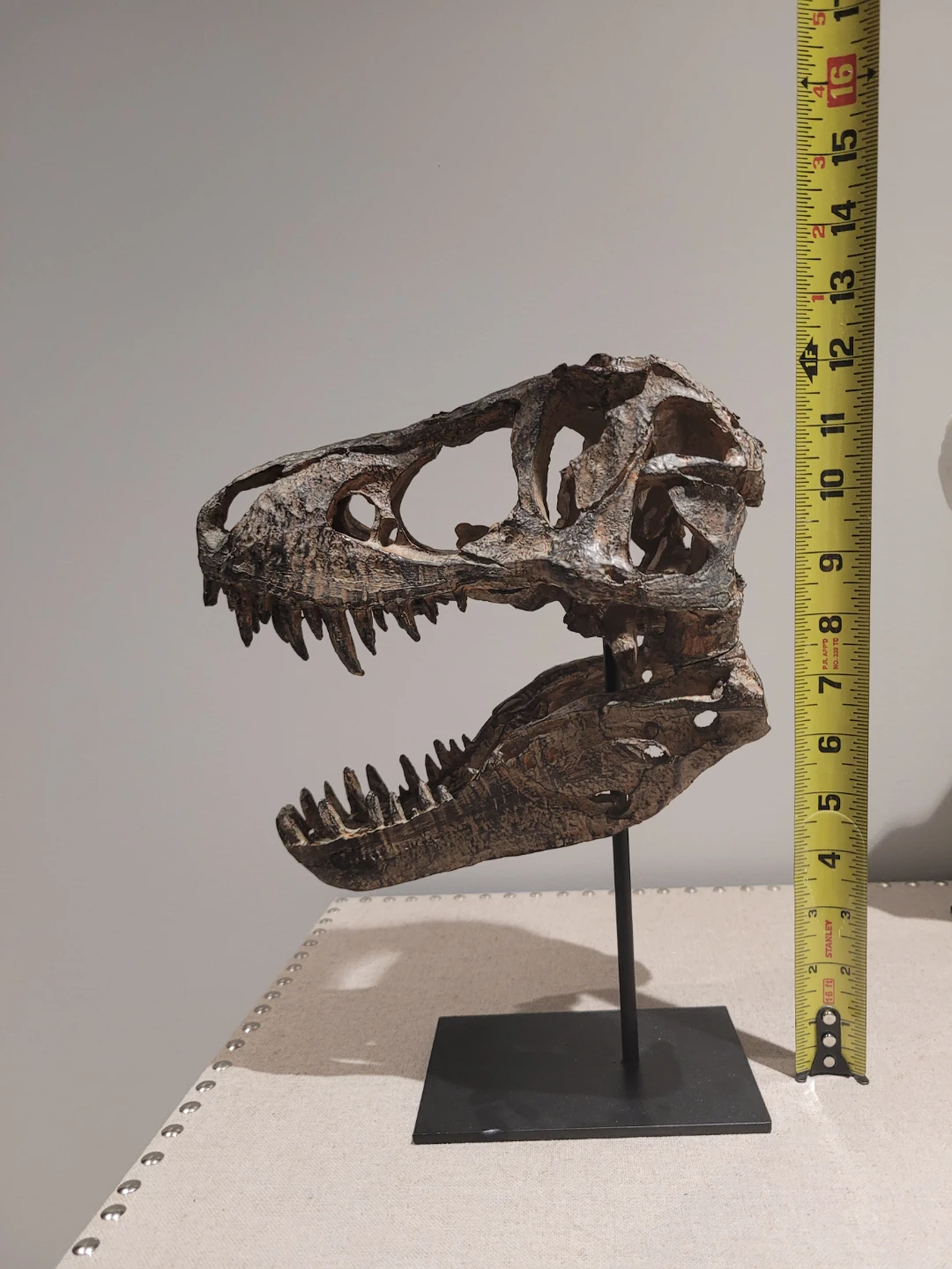 T-Rex Skull Replica Statue on Display Stand (~12” Tall)